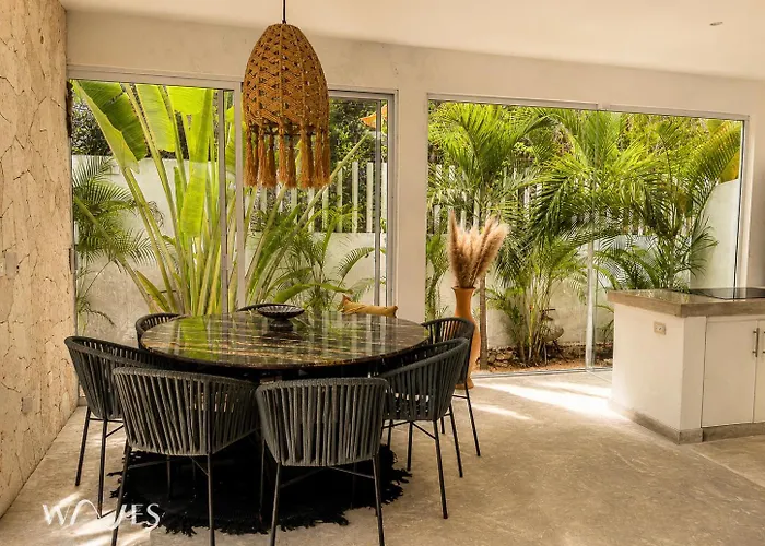 Semilla Oasis Tropical By Waves