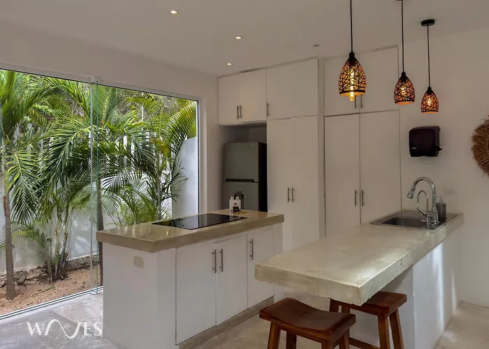 Semilla Oasis Tropical By Waves * Tulum