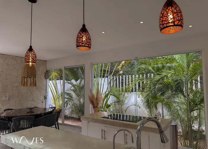Semilla Oasis Tropical By Waves