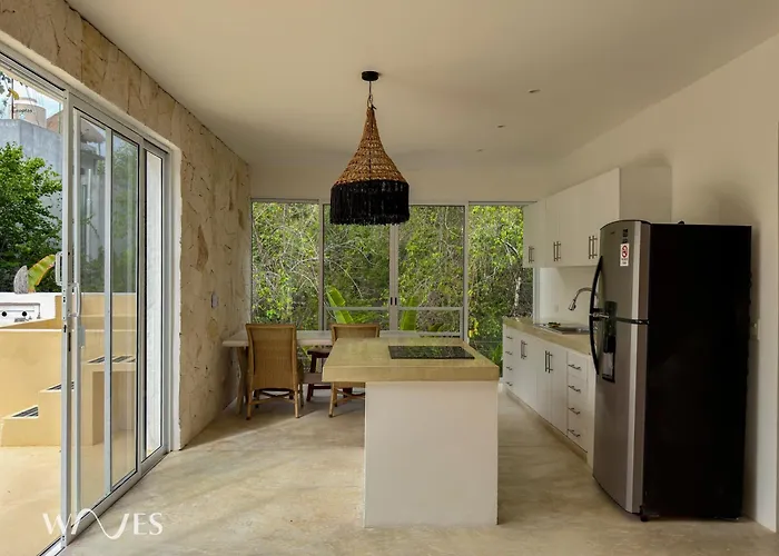 Semilla Oasis Tropical By Waves