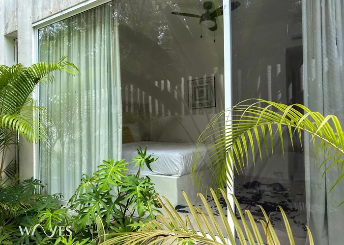 Semilla Oasis Tropical By Waves *