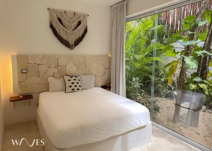 Semilla Oasis Tropical By Waves