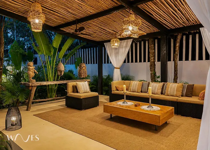Semilla Oasis Tropical By Waves